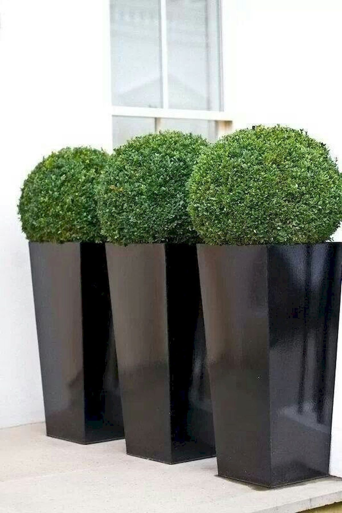 Large Black Planter Ideas On Foter