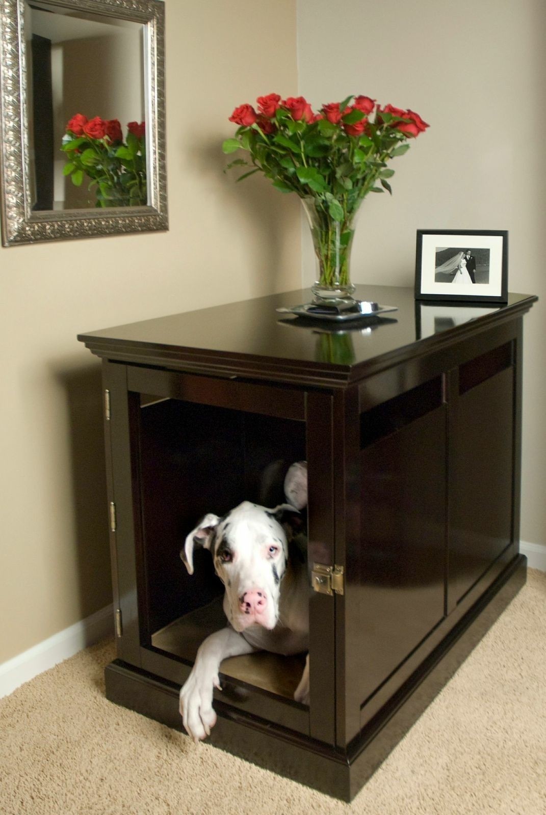 10 Dog Crate Ideas That Actually Look Good in Your Home