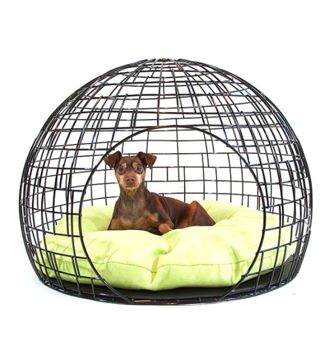 Unique dog crates sale