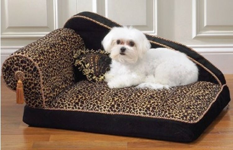 Prince dog bed