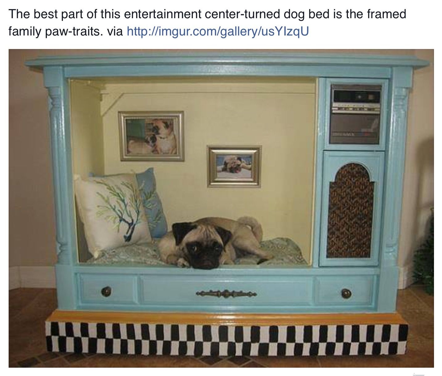 unique dog beds for large dogs