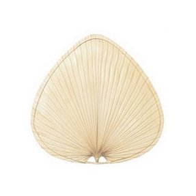 Palm Frond Fan Blades Ideas On Foter