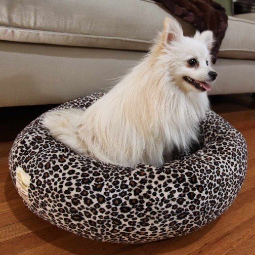 Animal print dog beds