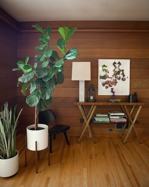 Corner plant stand indoor