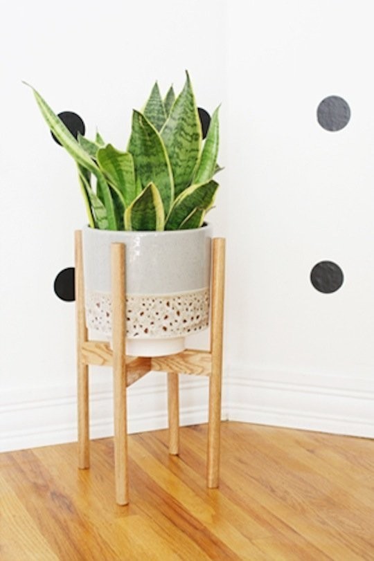 Diy plant decor 5 modern plant stands apartment therapy 1