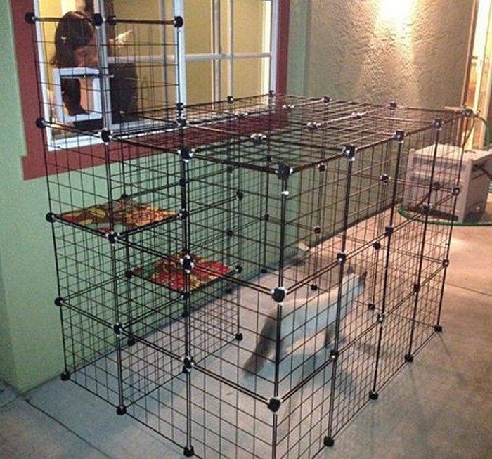 multi level cat cage