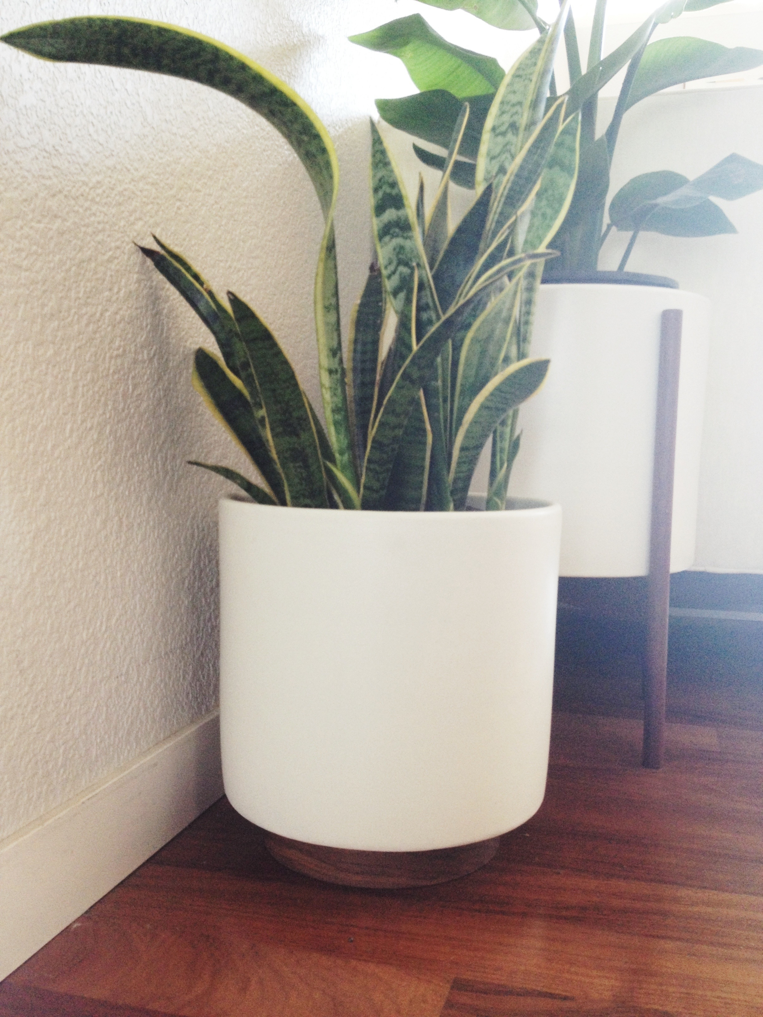 Indoor decorative planters