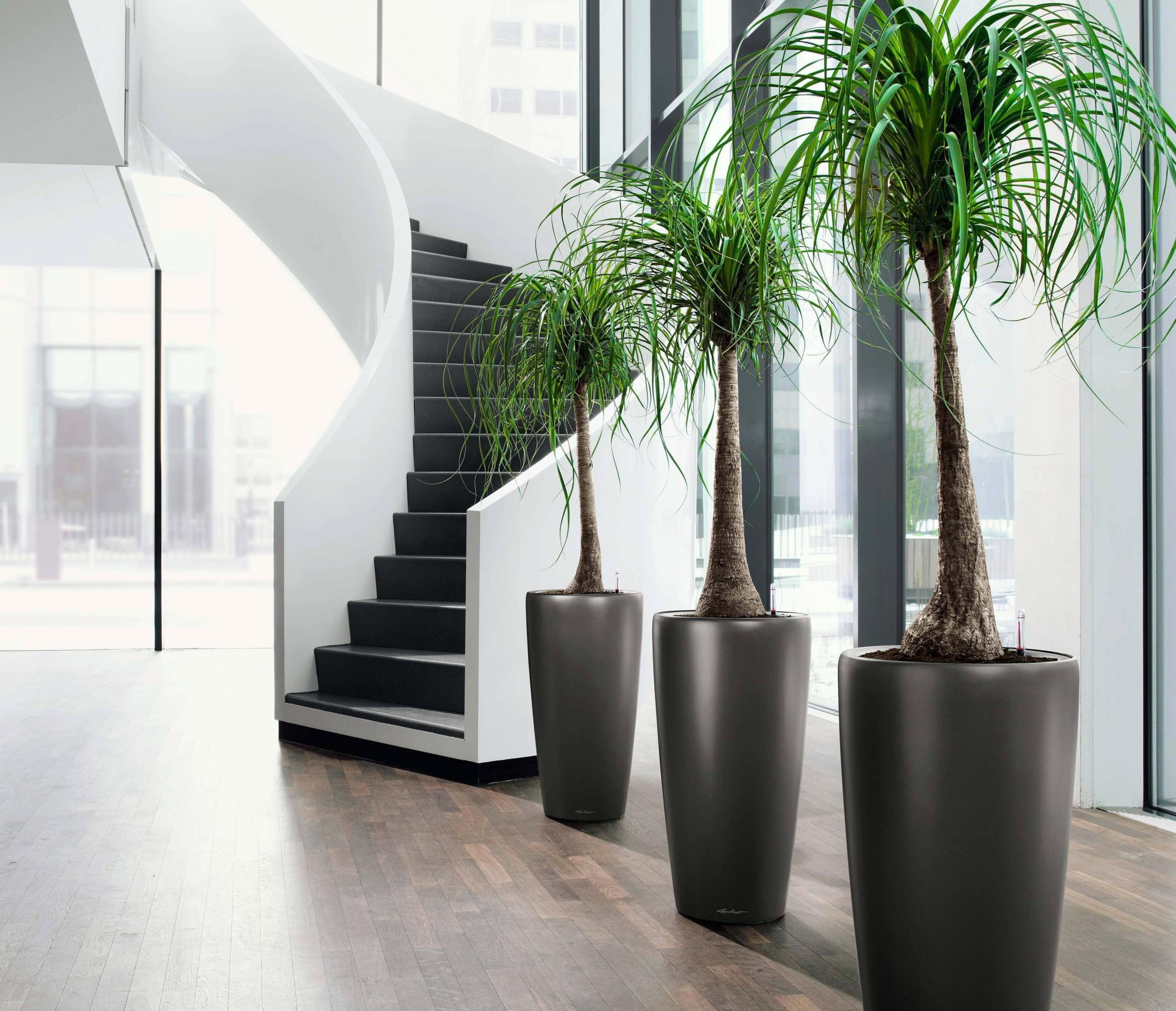 Tall Indoor Planters - Foter