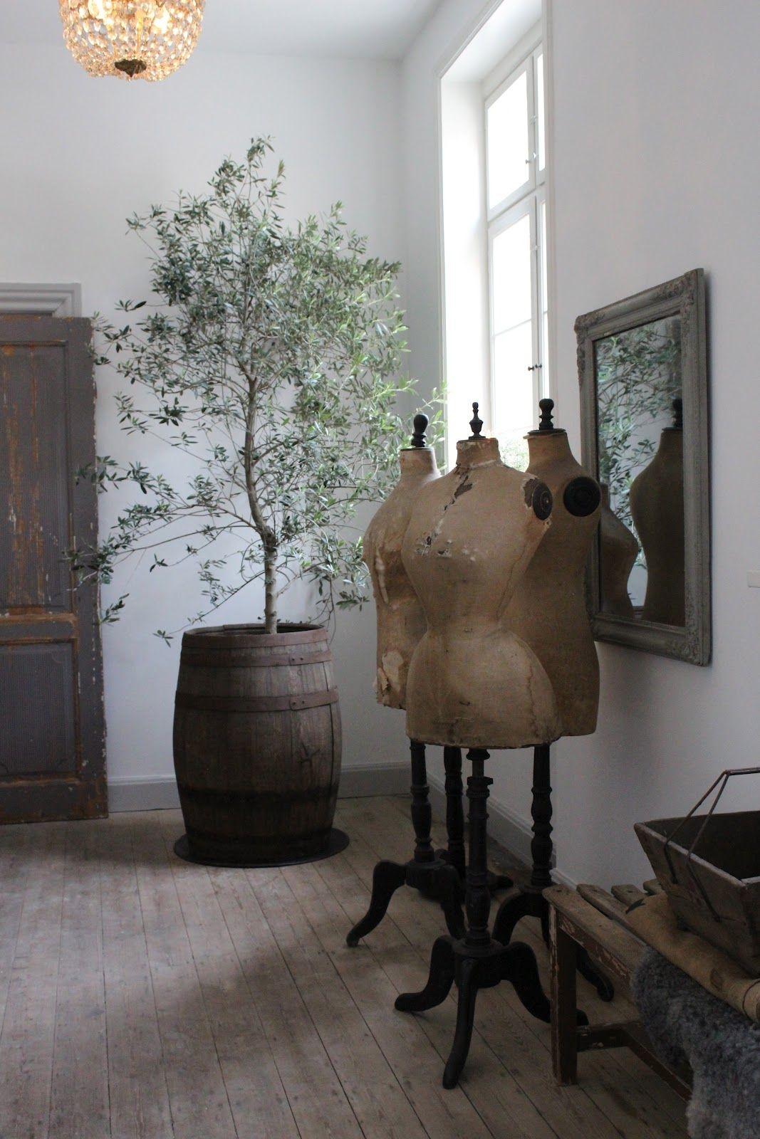 Mannequins and the large tree in the whiskey barrel
