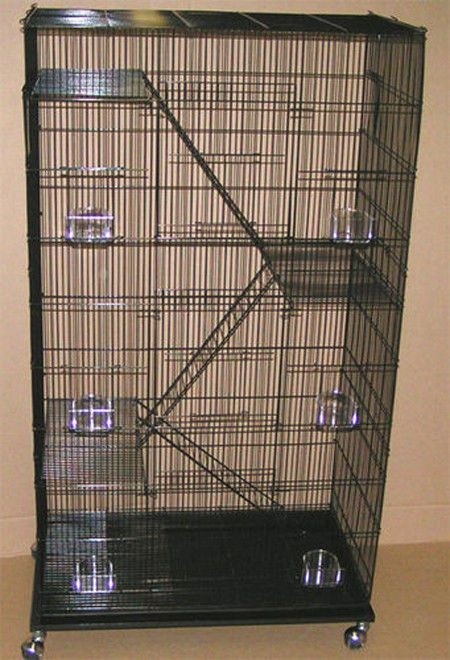 large cage for small birds