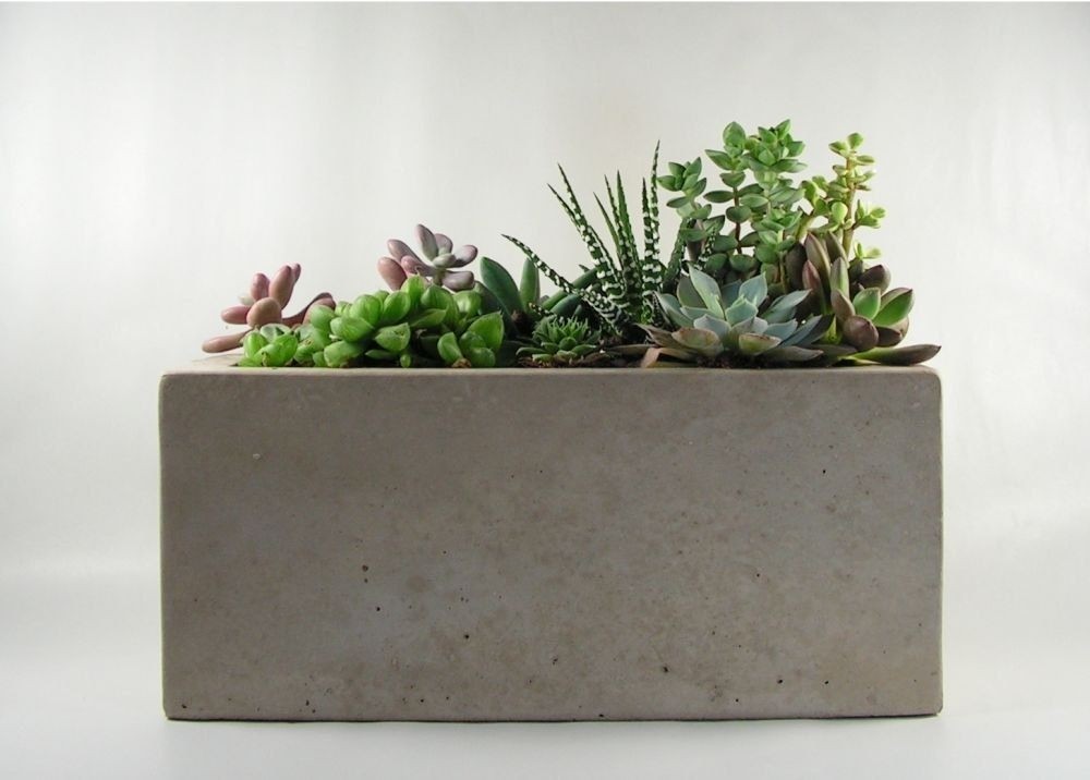Rectangular concrete planter