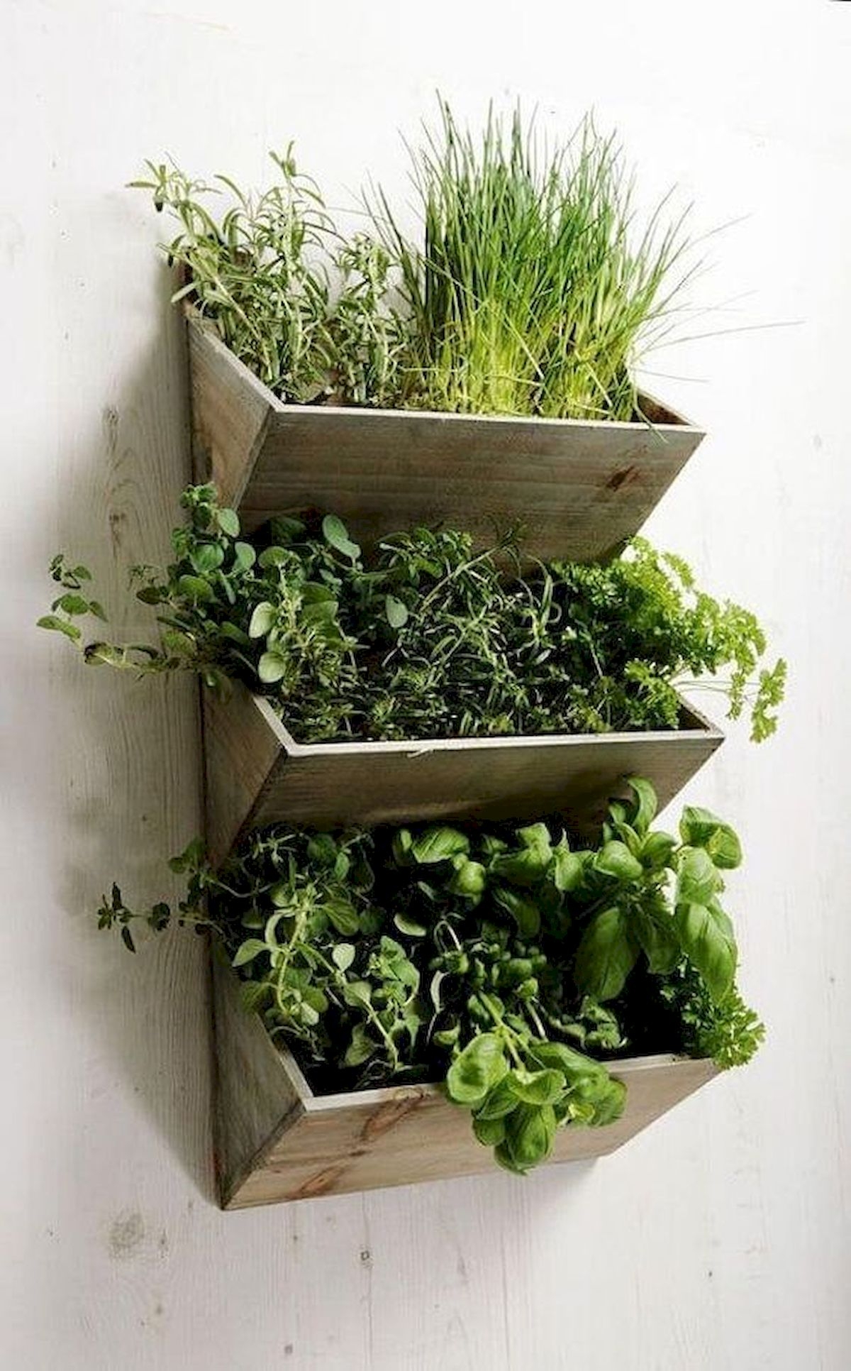 Shabby Chic Large Wall Hanging Herbs Planter Kit Wooden Kitchen Garden Indoor