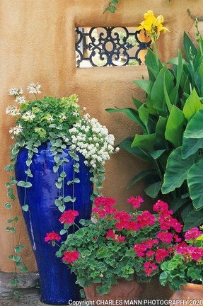 Tall Ceramic Planters - Foter