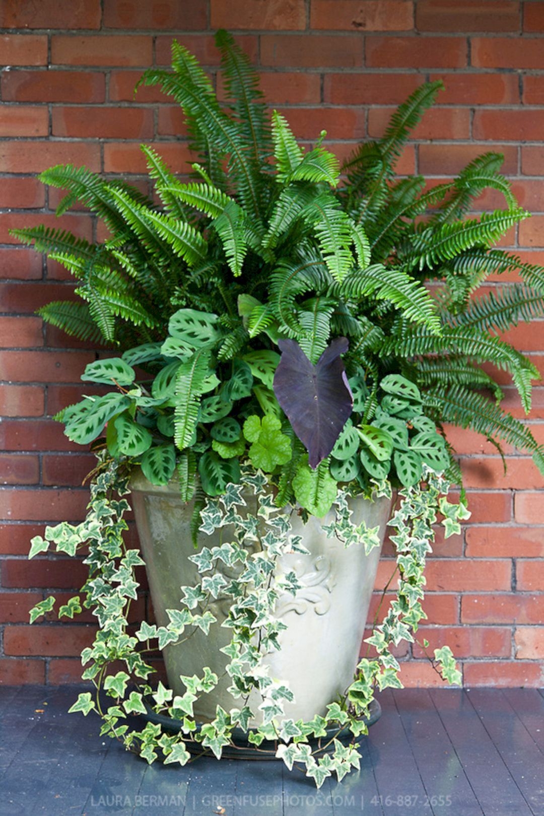 Large Indoor Planters - Foter