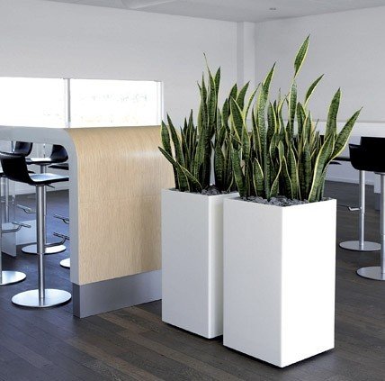 Modern Extra Large Indoor Planters, Indoor Plant Pots, Big and