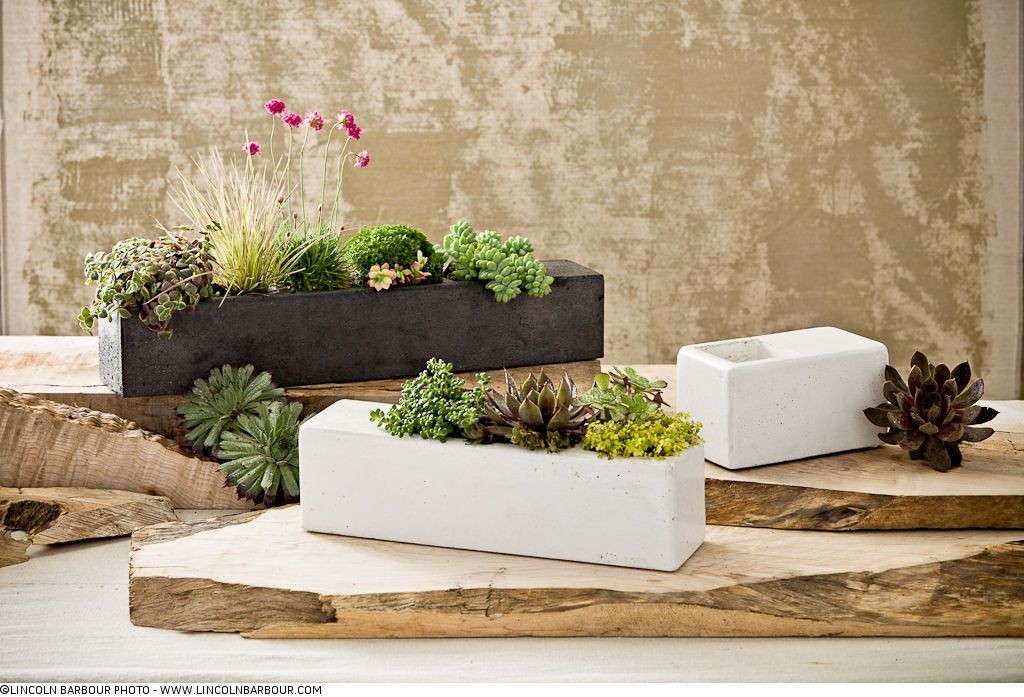 Terrene by transom design modern indoor pots and planters portland