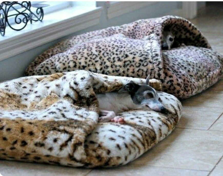 Dog bed cave