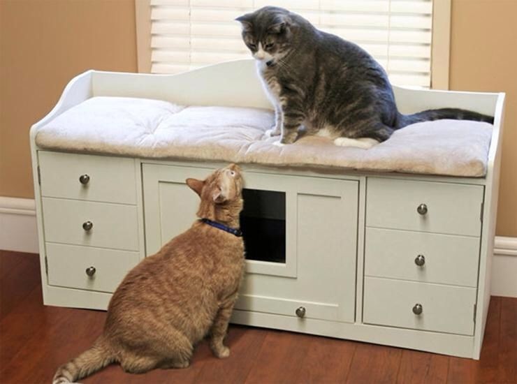 Wooden Cat Litter Boxes - Ideas on Foter