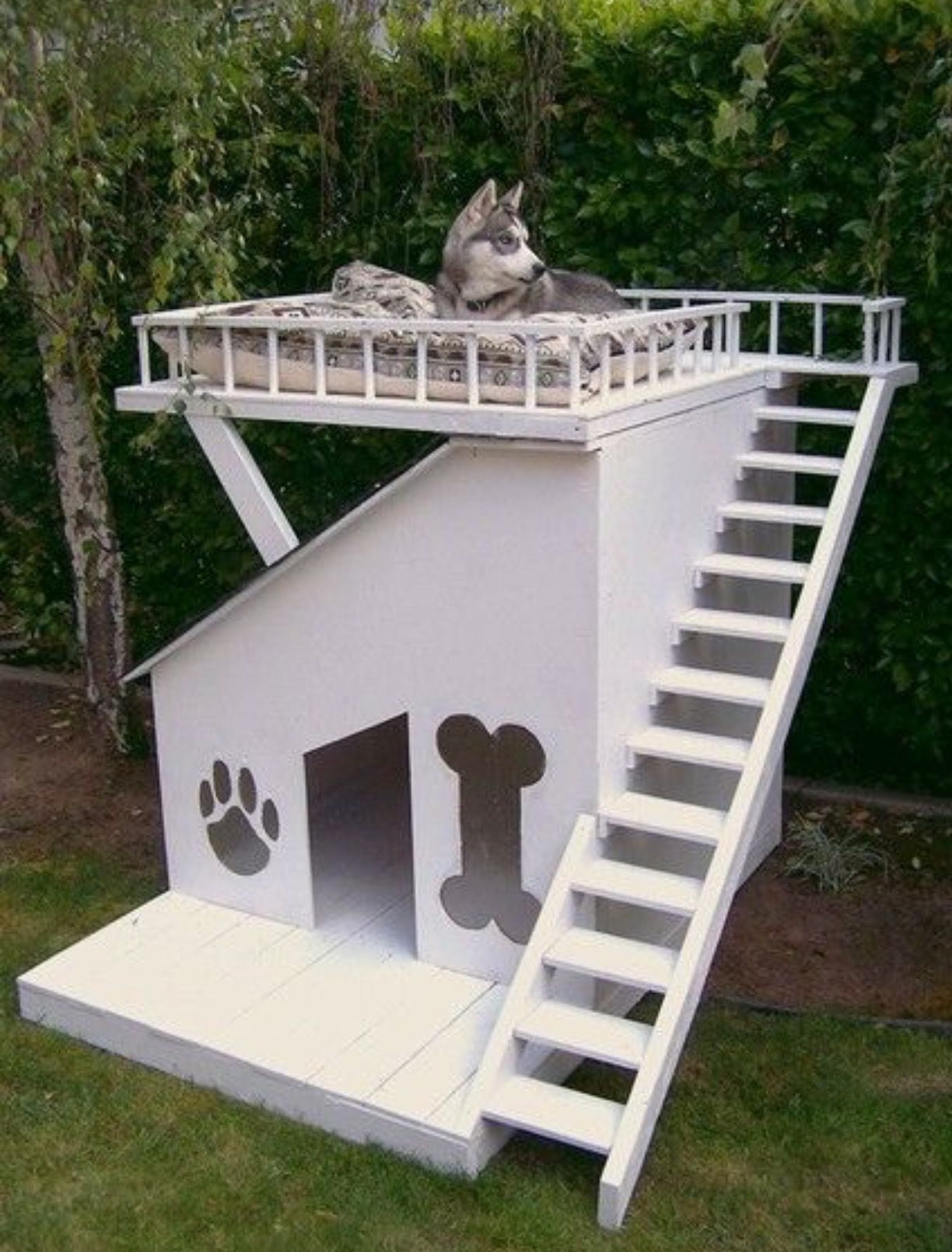 Dog house hot sale with bed