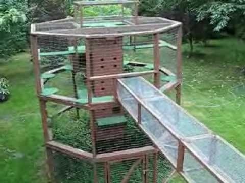 outdoor cat litter house