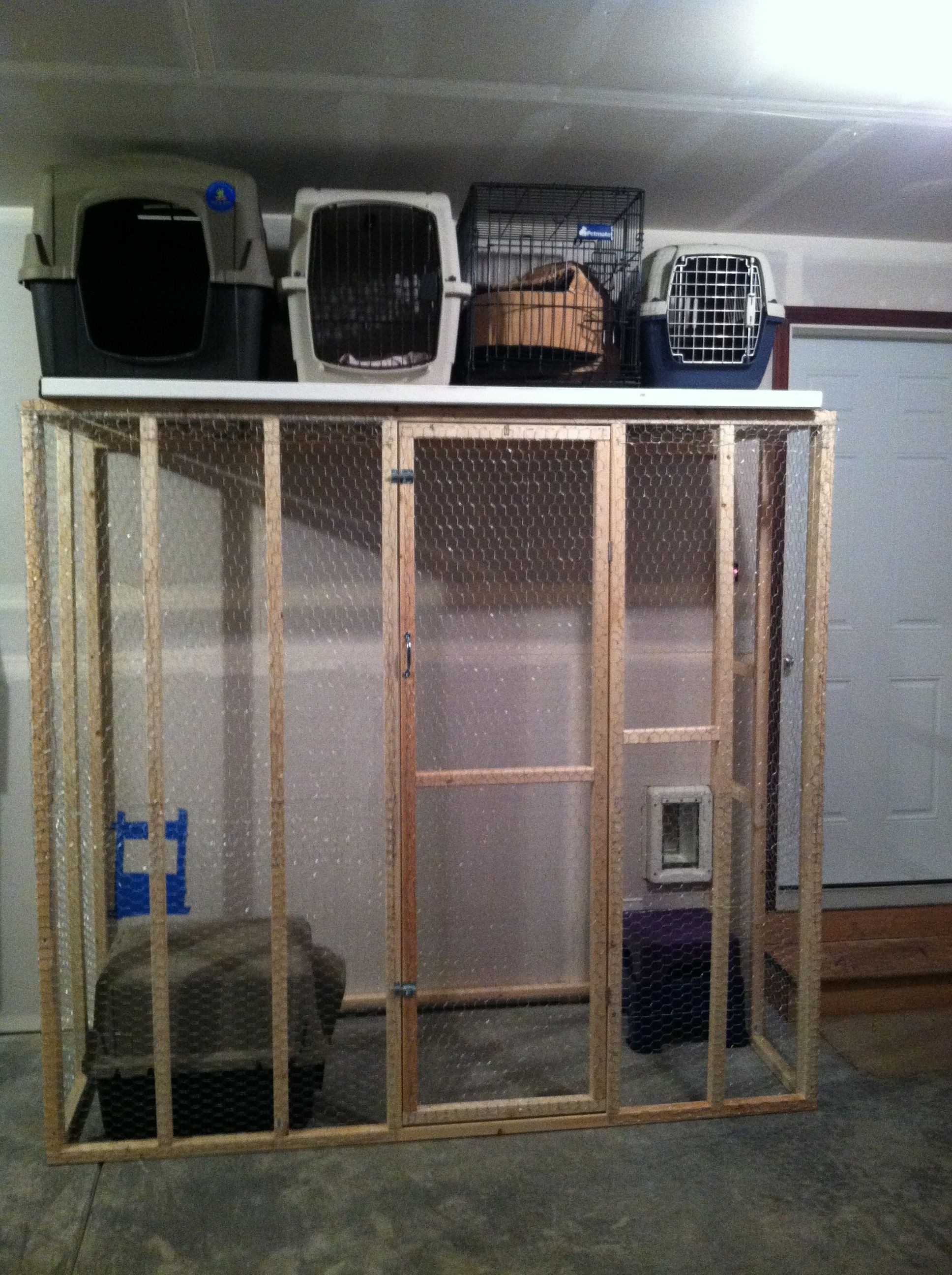 cat crate with litter box