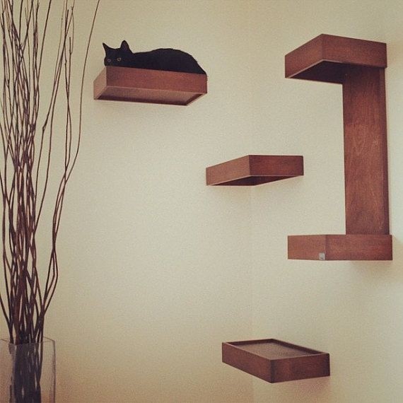 Cat wall shelves