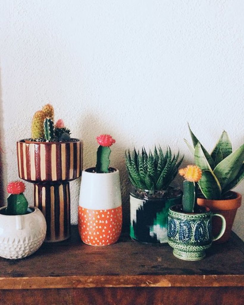 Indoor Plant Table - Foter