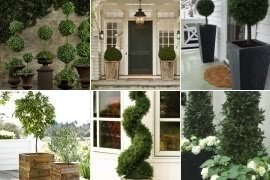 Topiaries For Front Porch Ideas On Foter