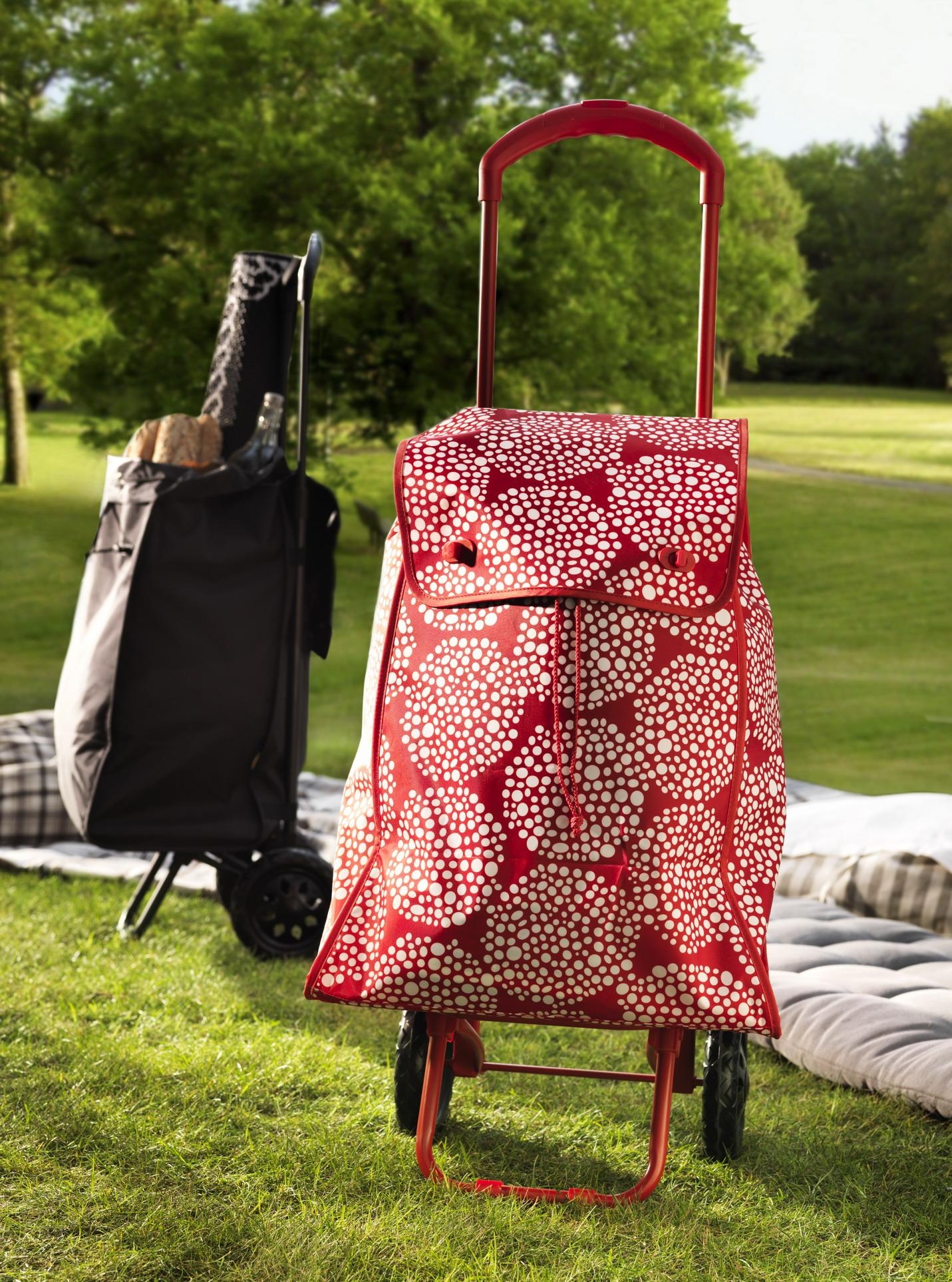 beach bag on wheels