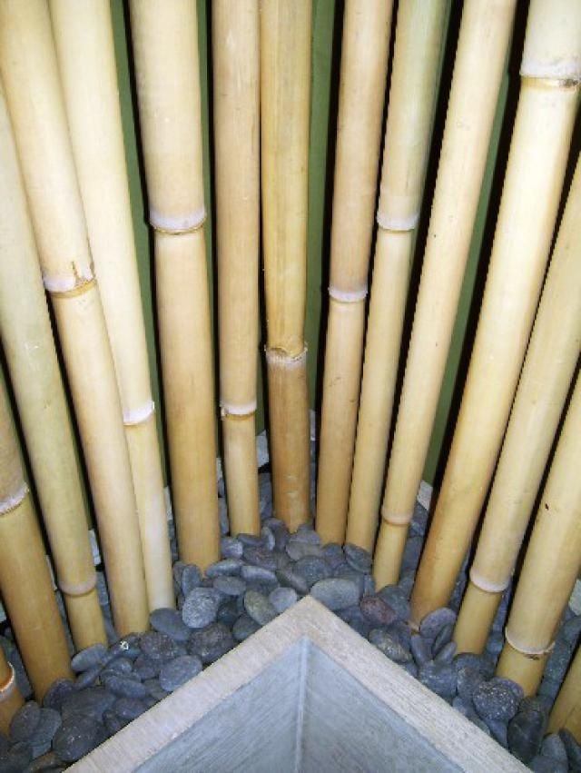 Bamboo Wall Divider - Ideas on Foter
