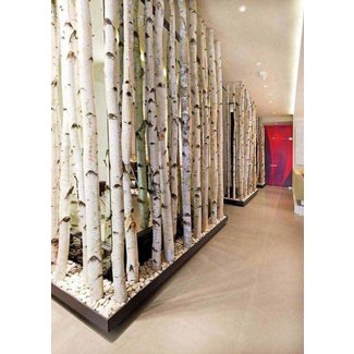 Bamboo Wall Divider Ideas On Foter