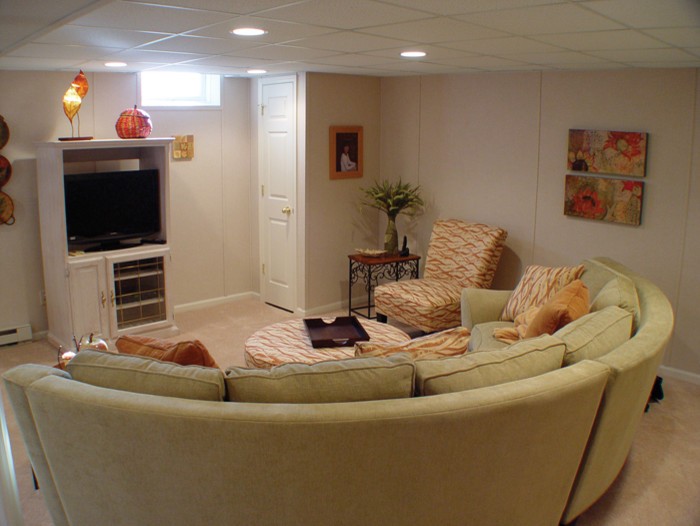 Basement Remodeling Projects Executed By Our Tbf Dealers Eclectic Other Metros