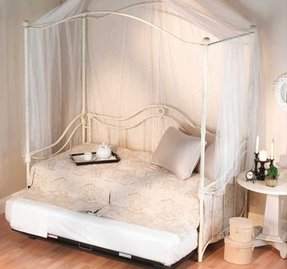 Canopy Daybed With Trundle Ideas On Foter