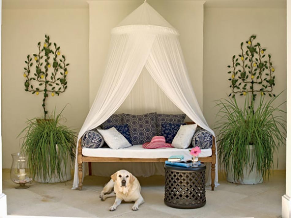 Daybed with canopy and trundle