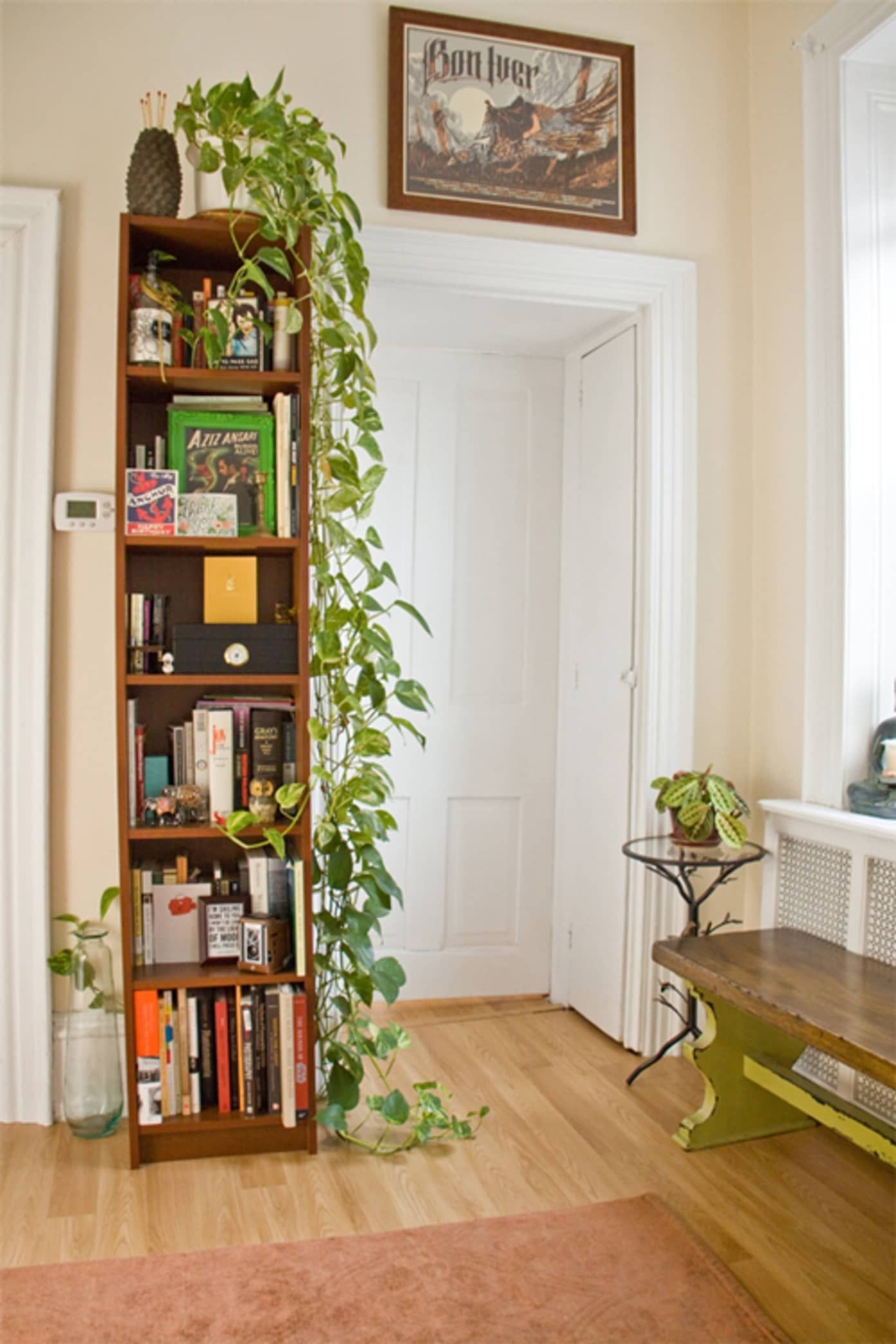 Indoor Plant Stands - Ideas On Foter