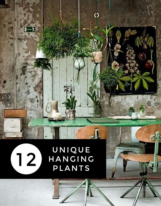 Indoor Plant Table Ideas On Foter 5100