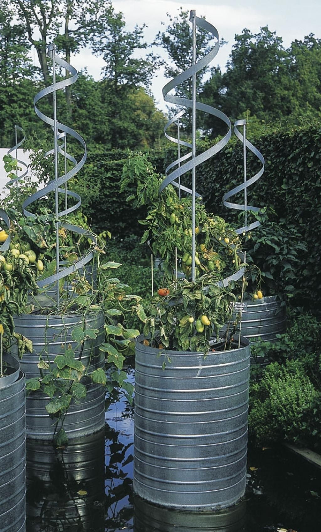 Tall Garden Trellis - Ideas on Foter