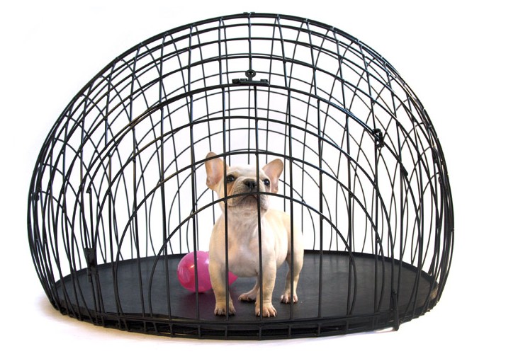 cool dog crate