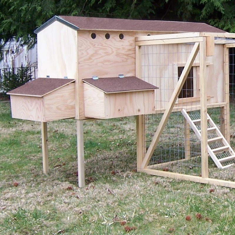 Extended Family Hen House Starter Kit