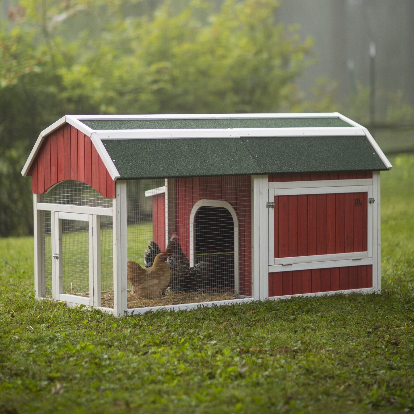 Chicken Coop For 8 Chickens Ideas On Foter