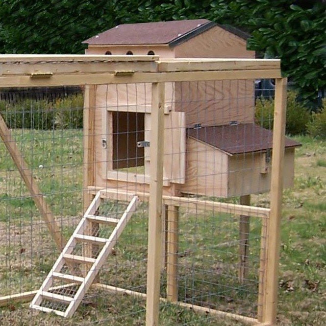 Small Hen House Starter Kit