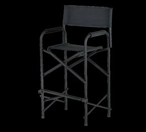 Aluminum Directors Chairs Ideas On Foter