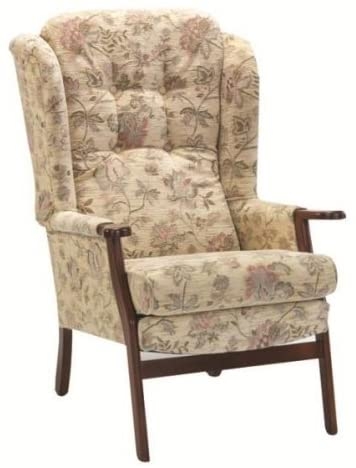 50+ Armchairs for Elderly & Guide How to Choose The Best - Foter