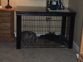 pet crate table bedside table pet crate table best crate table ideas on foter pet crate table bedside table pet crate table best crate table ideas on foter