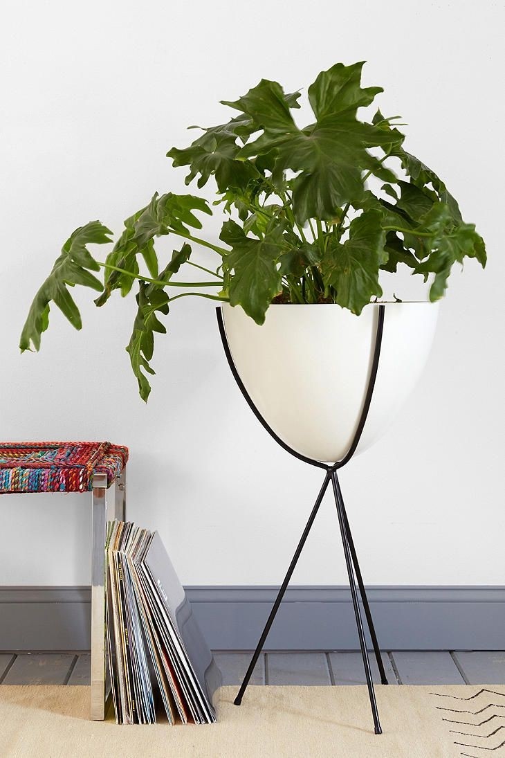 Tall indoor planters 5