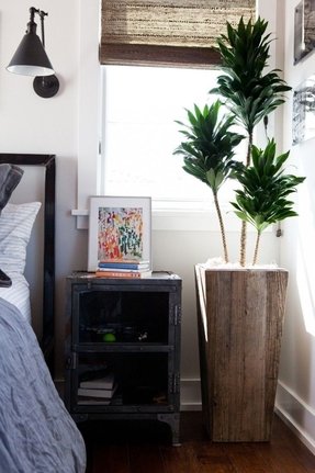 Tall Indoor Planters - Foter