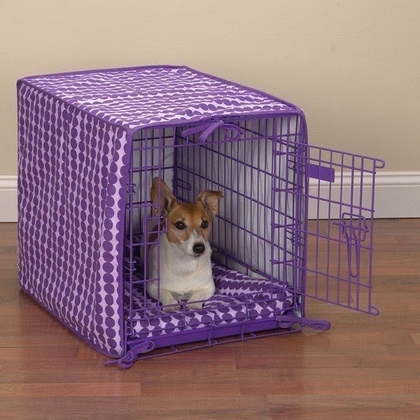 24 inch plastic dog crate