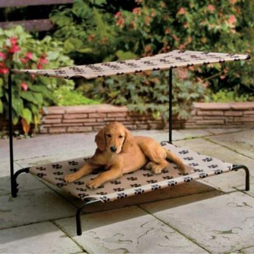 Covered dog bed 2
