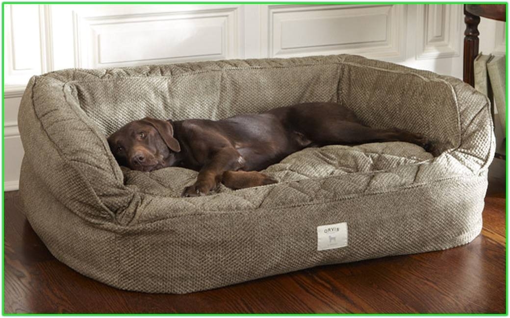 Covered dog bed