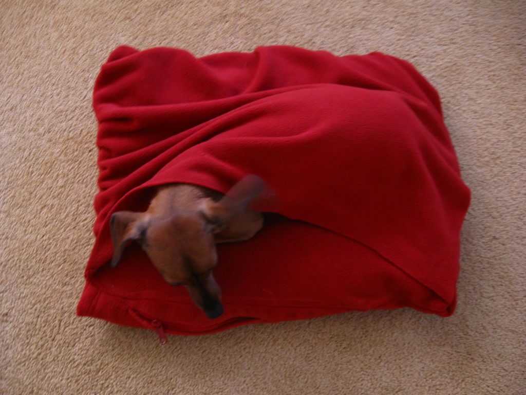 Diy snuggie dog bed using a men xl zippered sweater